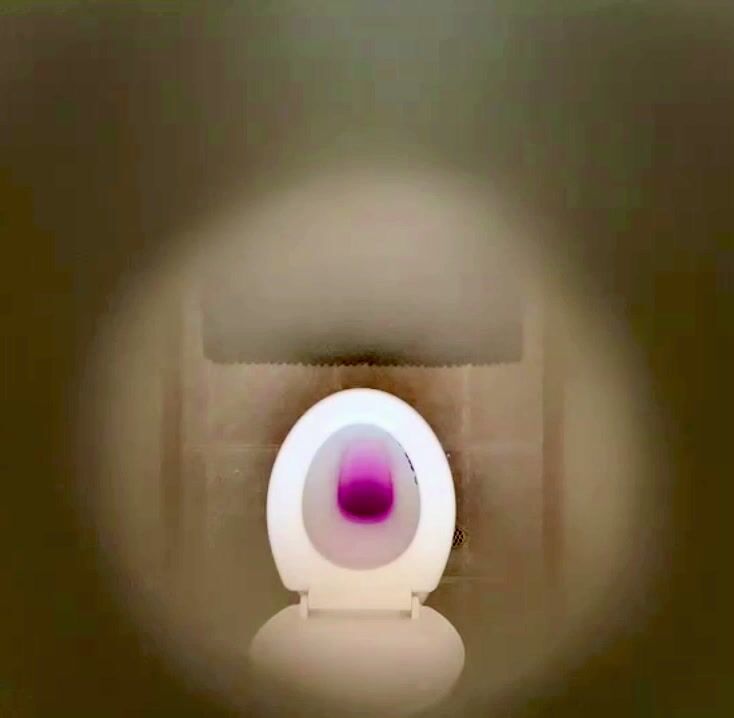 My toilet cam