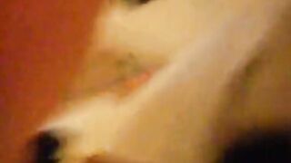 Angy: Arab MILF in Bondage